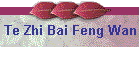 Te Zhi Bai Feng Wan