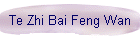 Te Zhi Bai Feng Wan